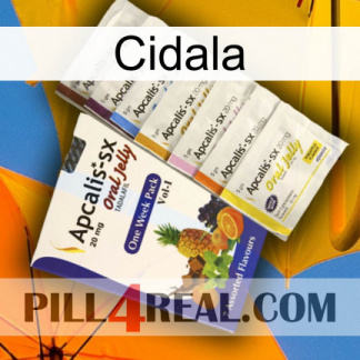 Cidala 11